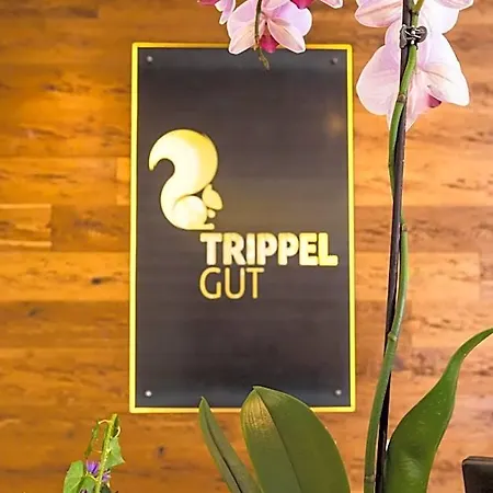 Trippelgut Hotel Feldkirchen In Kaernten