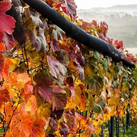 Trippelgut - Schlafgut 酒店