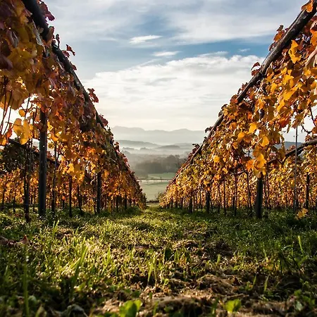 Trippelgut - Schlafgut 酒店 *