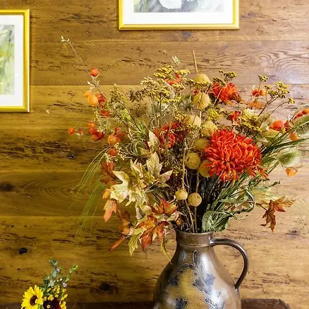 酒店 Trippelgut - Schlafgut *