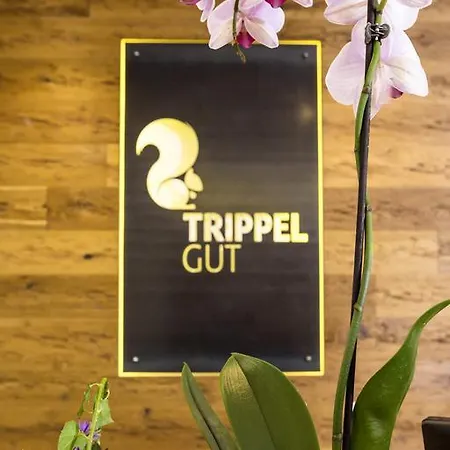 酒店 Trippelgut - Schlafgut 菲尔德茵卡特