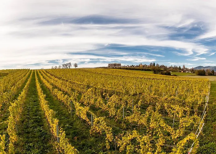 Ξενοδοχείο Trippelgut - Schlafgut *