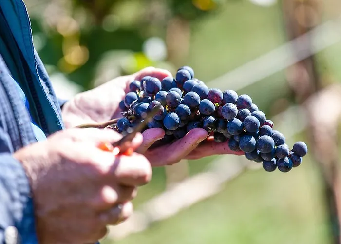 Trippelgut - Schlafgut