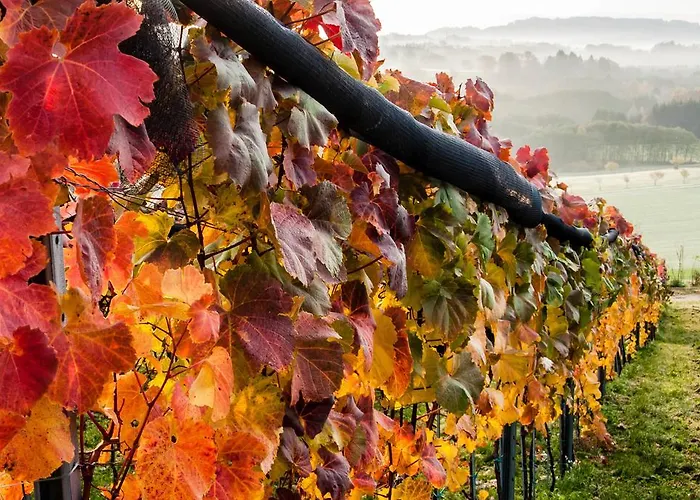 Trippelgut - Schlafgut 酒店