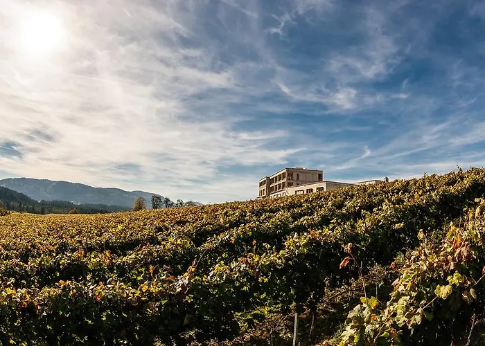 Trippelgut - Schlafgut *