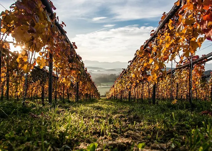 Trippelgut - Schlafgut Ξενοδοχείο *