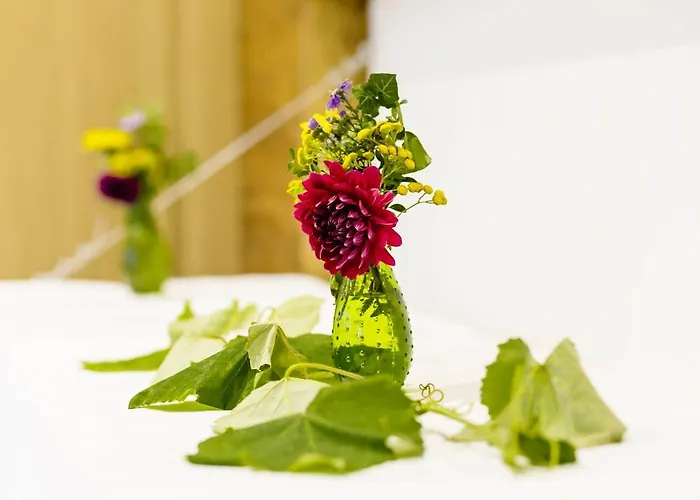 Ξενοδοχείο Trippelgut - Schlafgut *